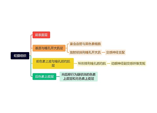 虹膜组织