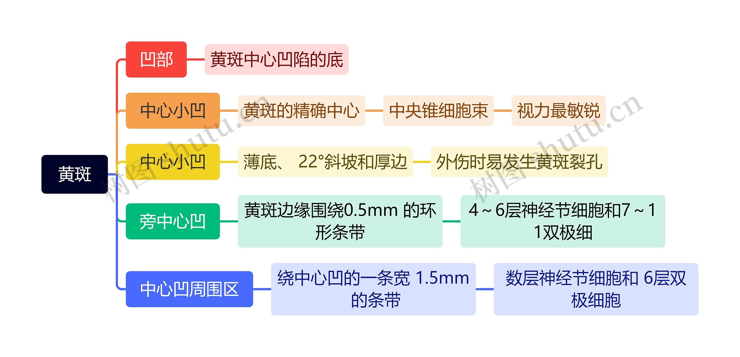 黄斑