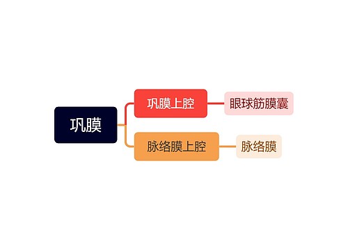 巩膜