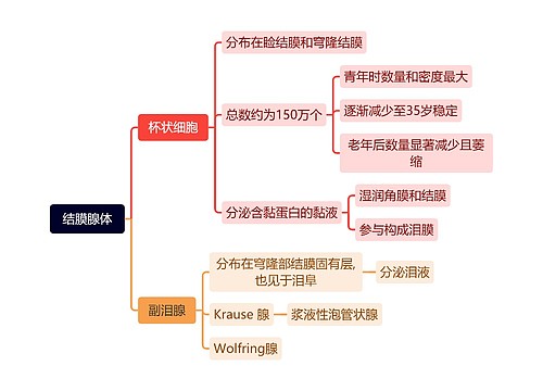 结膜腺体