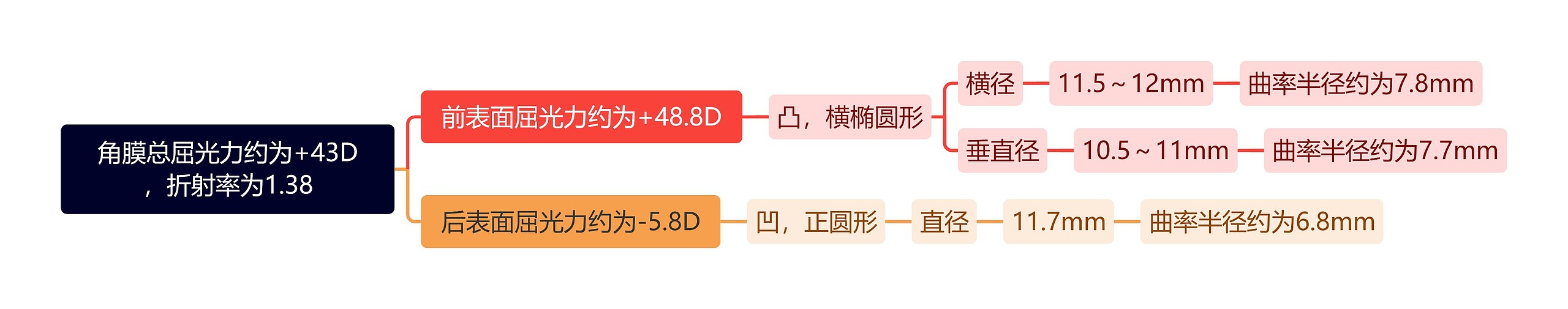 角膜总屈光力约为+43D，折射率为1.38