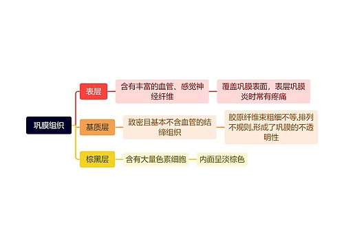巩膜组织