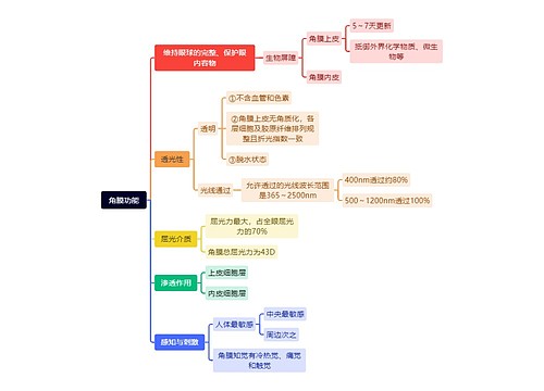角膜功能