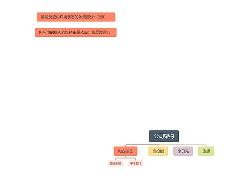 公司架构