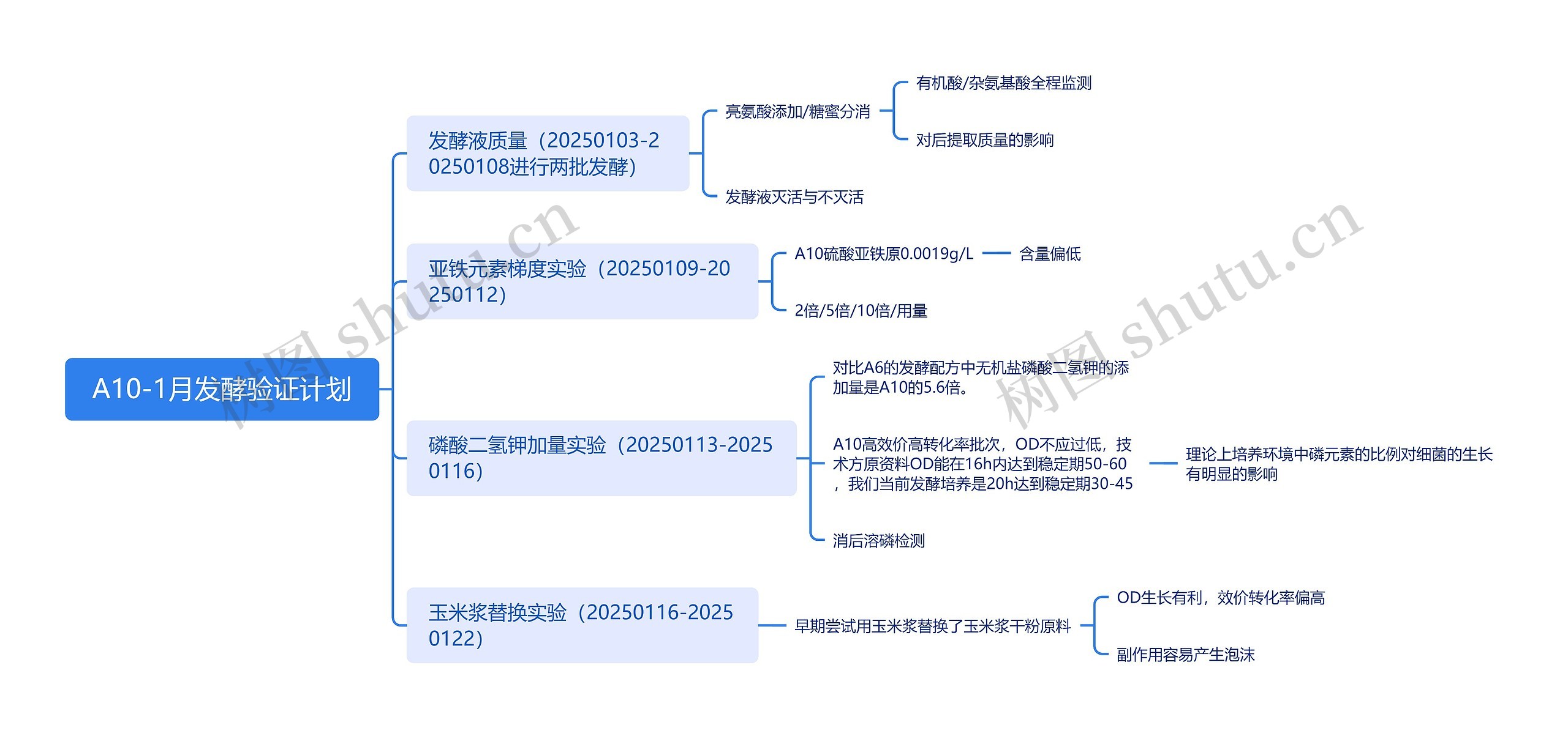 A10-1月发酵验证计划
