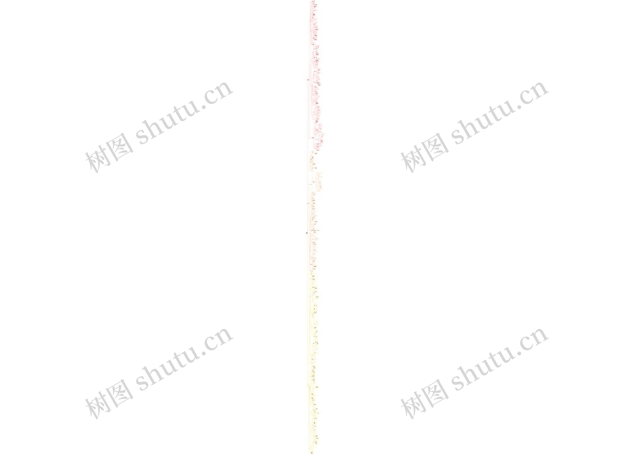 教育学介绍思维导图高清图 教育学介绍思维导图