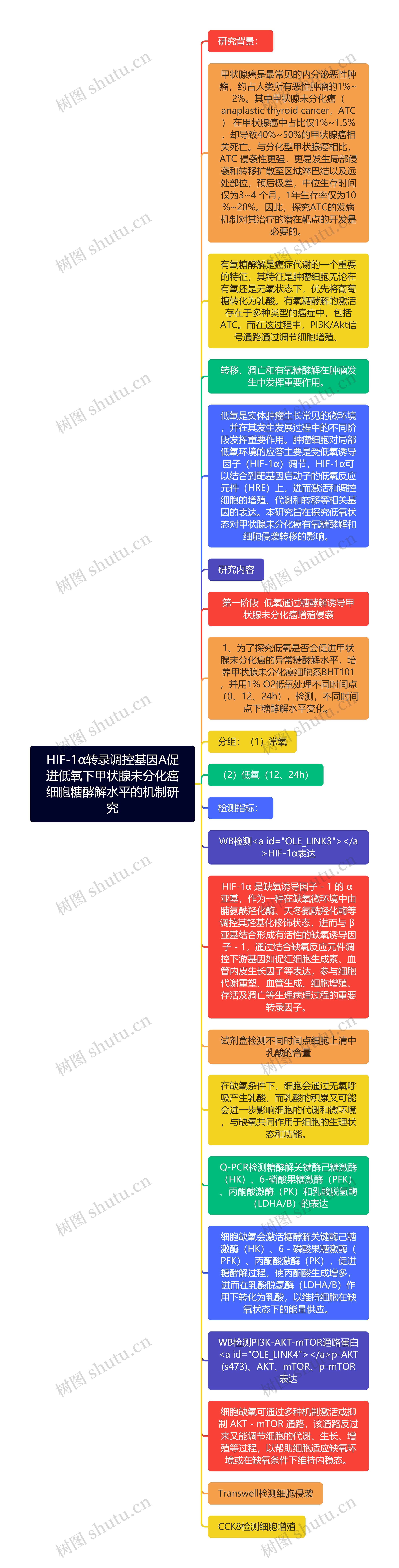 HIF-1α转录调控基因A促进低氧下甲状腺未分化癌细胞糖酵解水平的机制研究