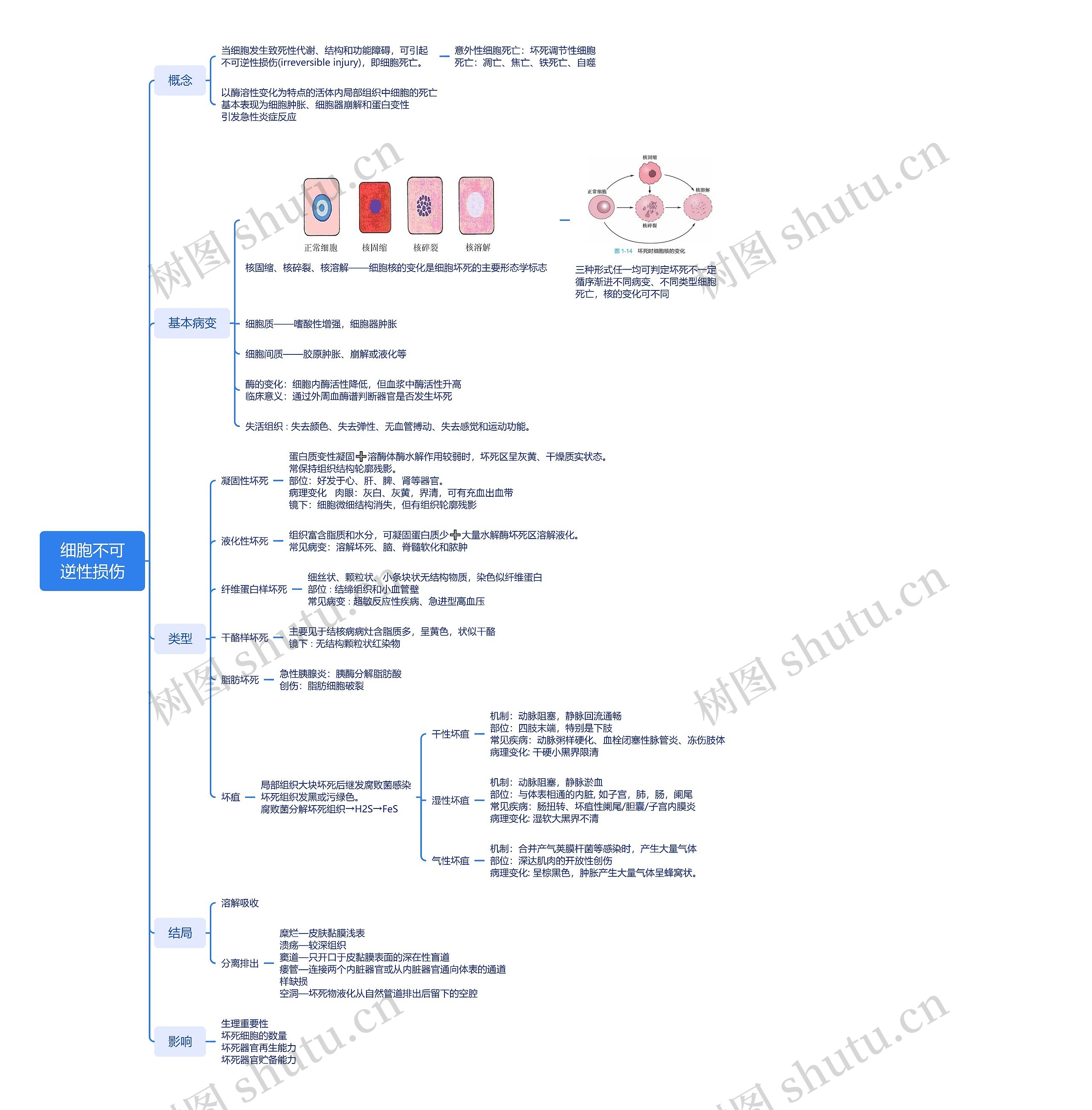 4、细胞不可逆性损伤思维导图高清图 4、细胞不可逆性损伤思维导图