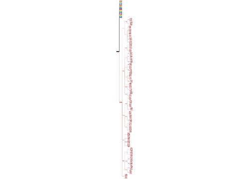 #_Toc190073994AI赋能智能建造	1