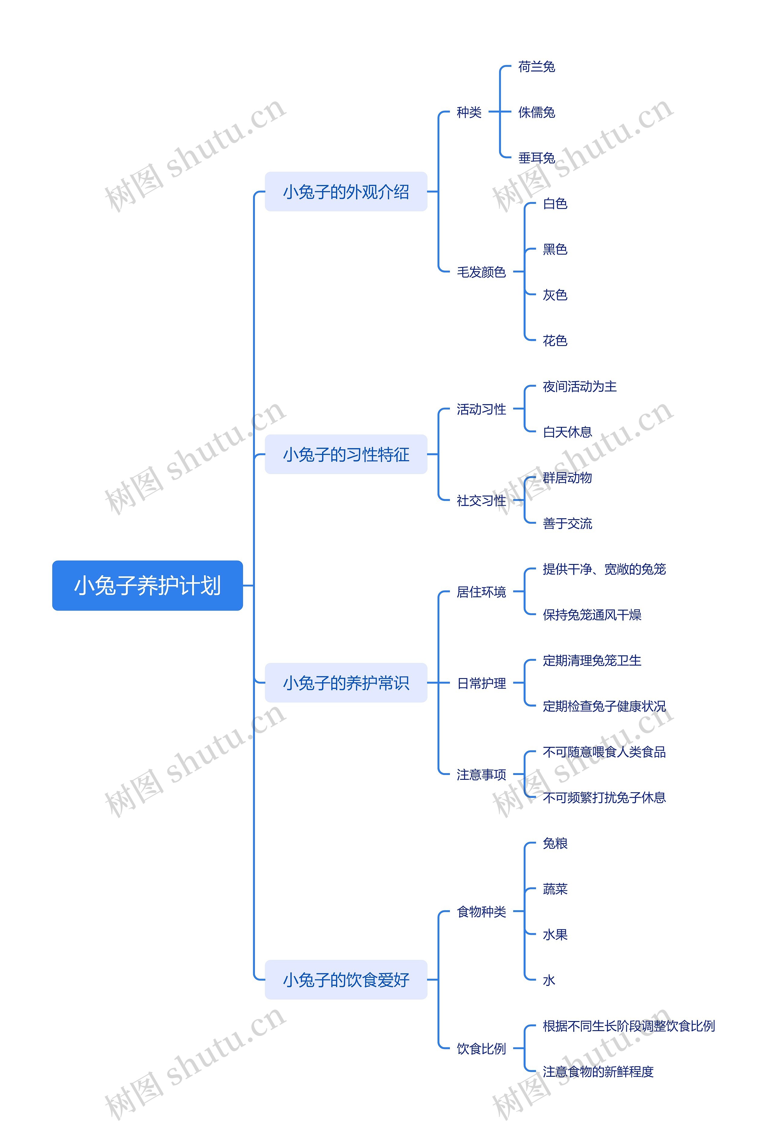 小兔子养护计划思维导图高清图 小兔子养护计划思维导图