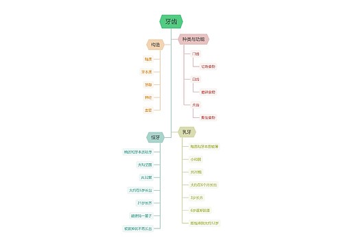 牙齿