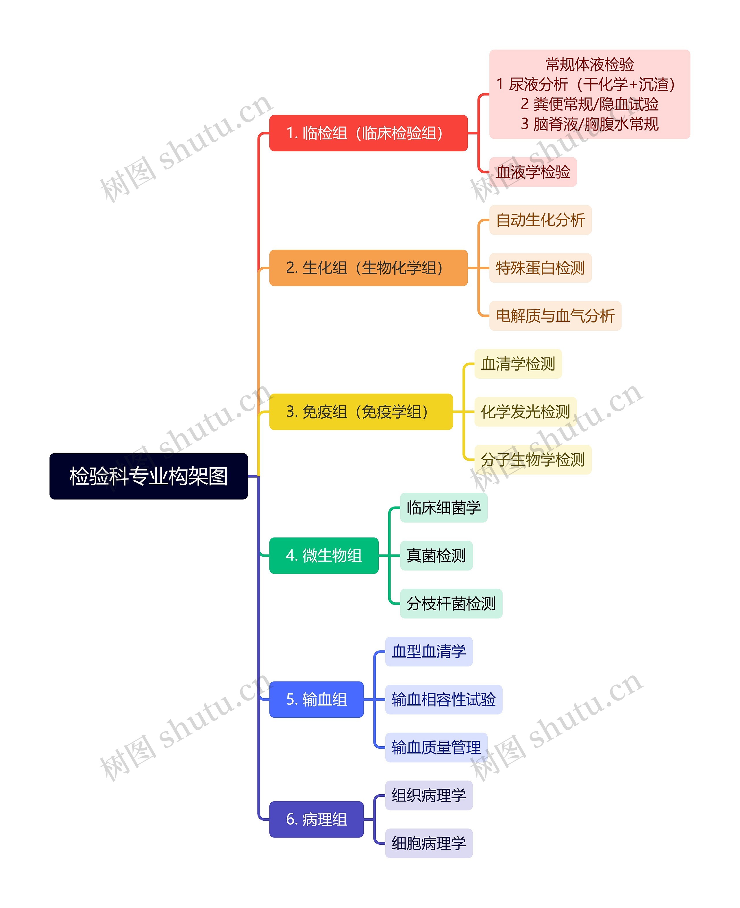 检验科专业构架图
