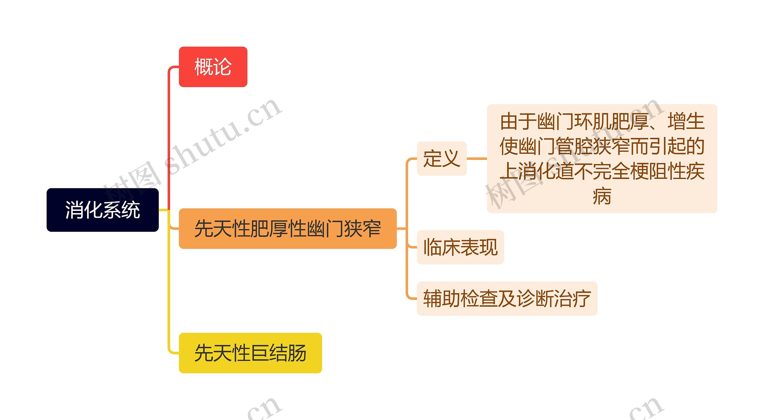 消化系统