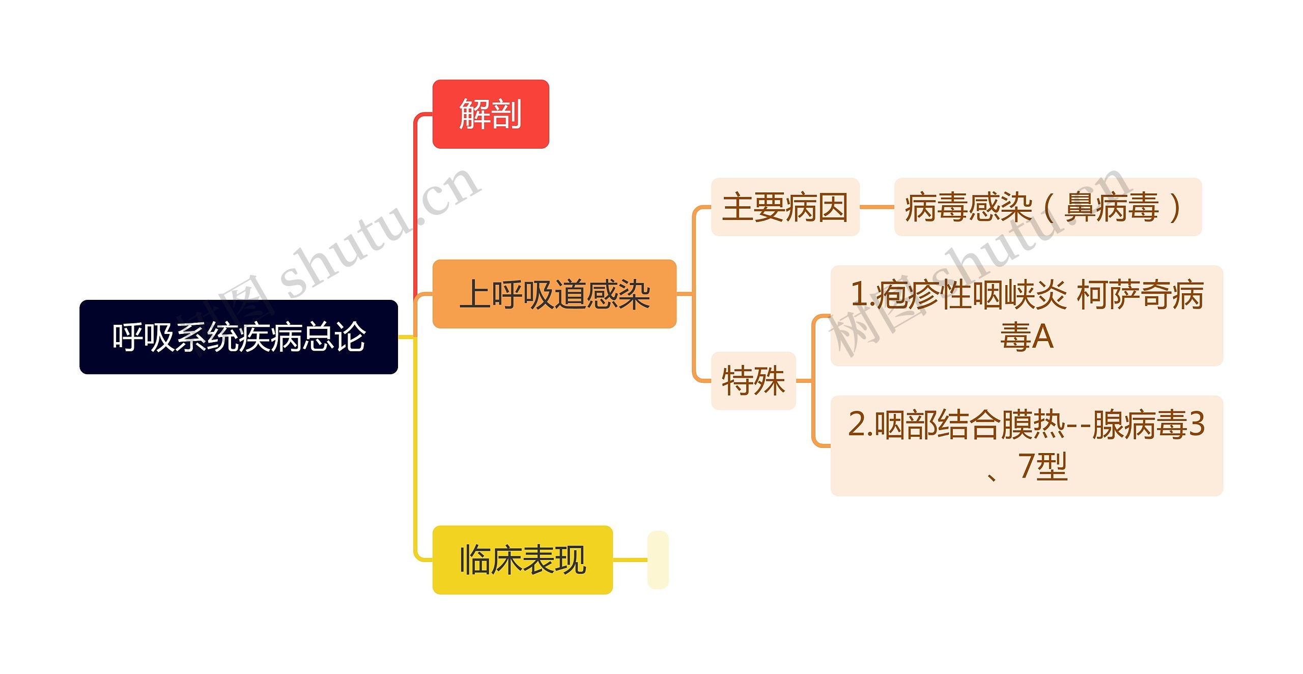 呼吸系统疾病总论