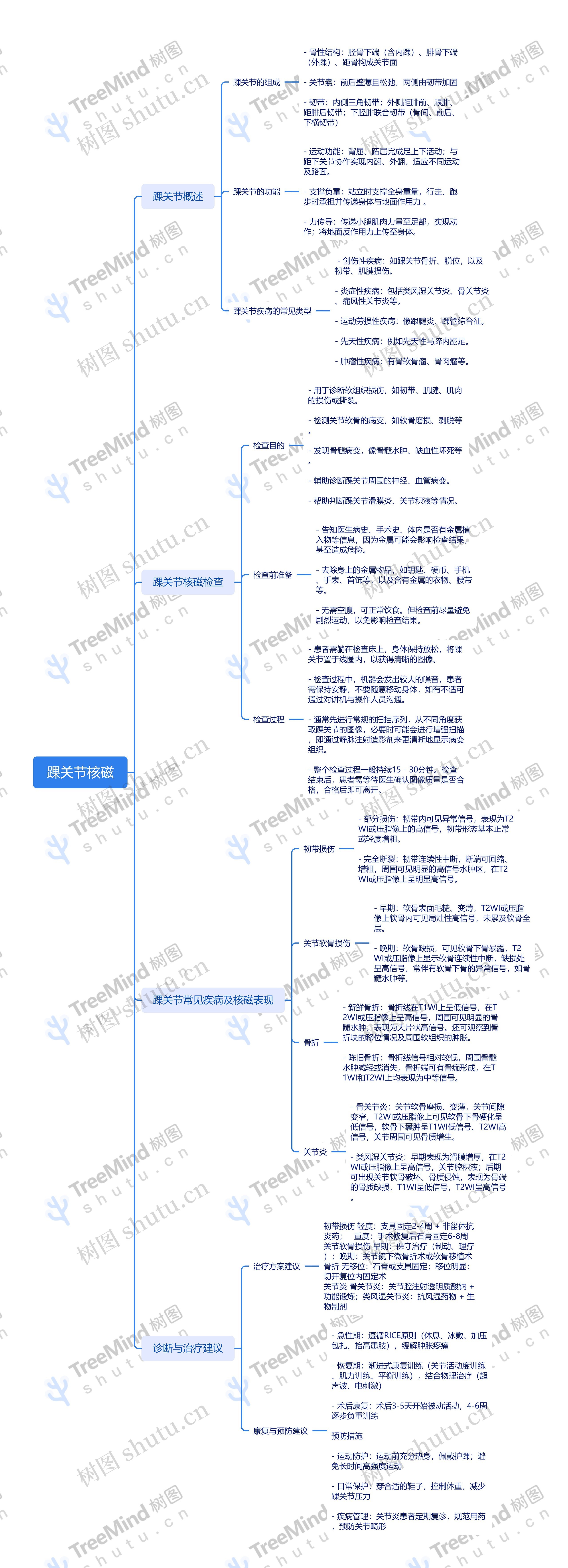 踝关节核磁