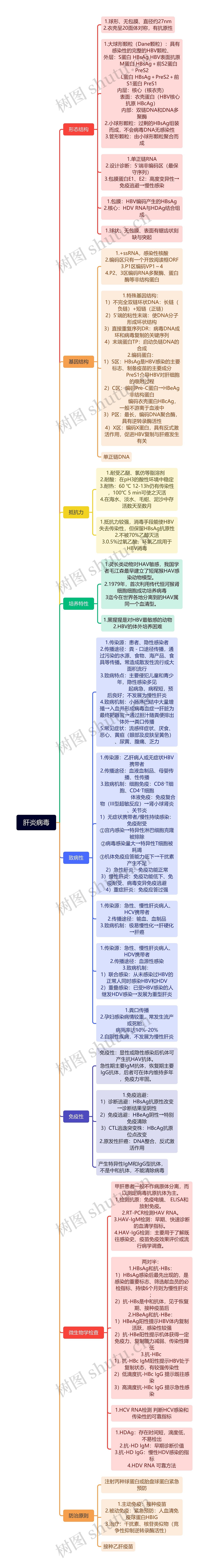 肝炎病毒