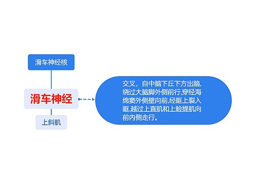 滑车神经核