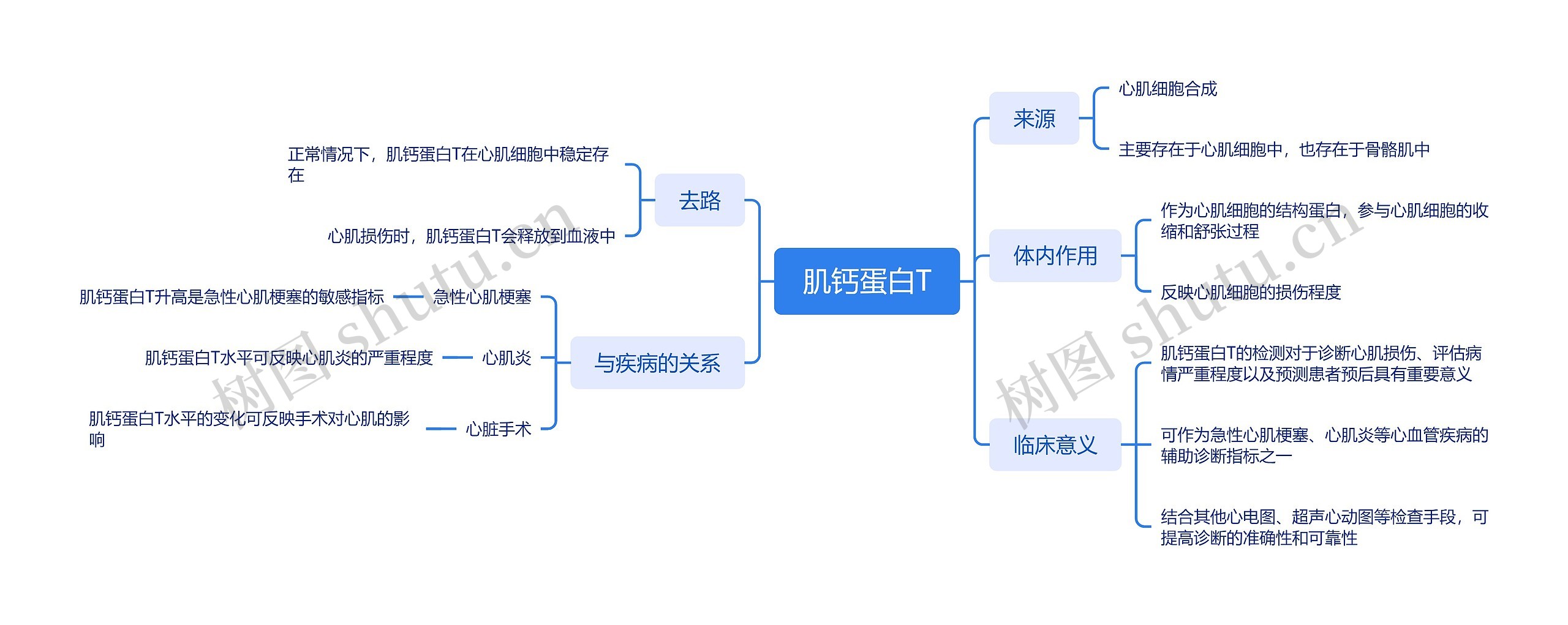 肌钙蛋白T