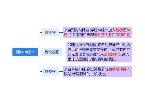 睫状神经节