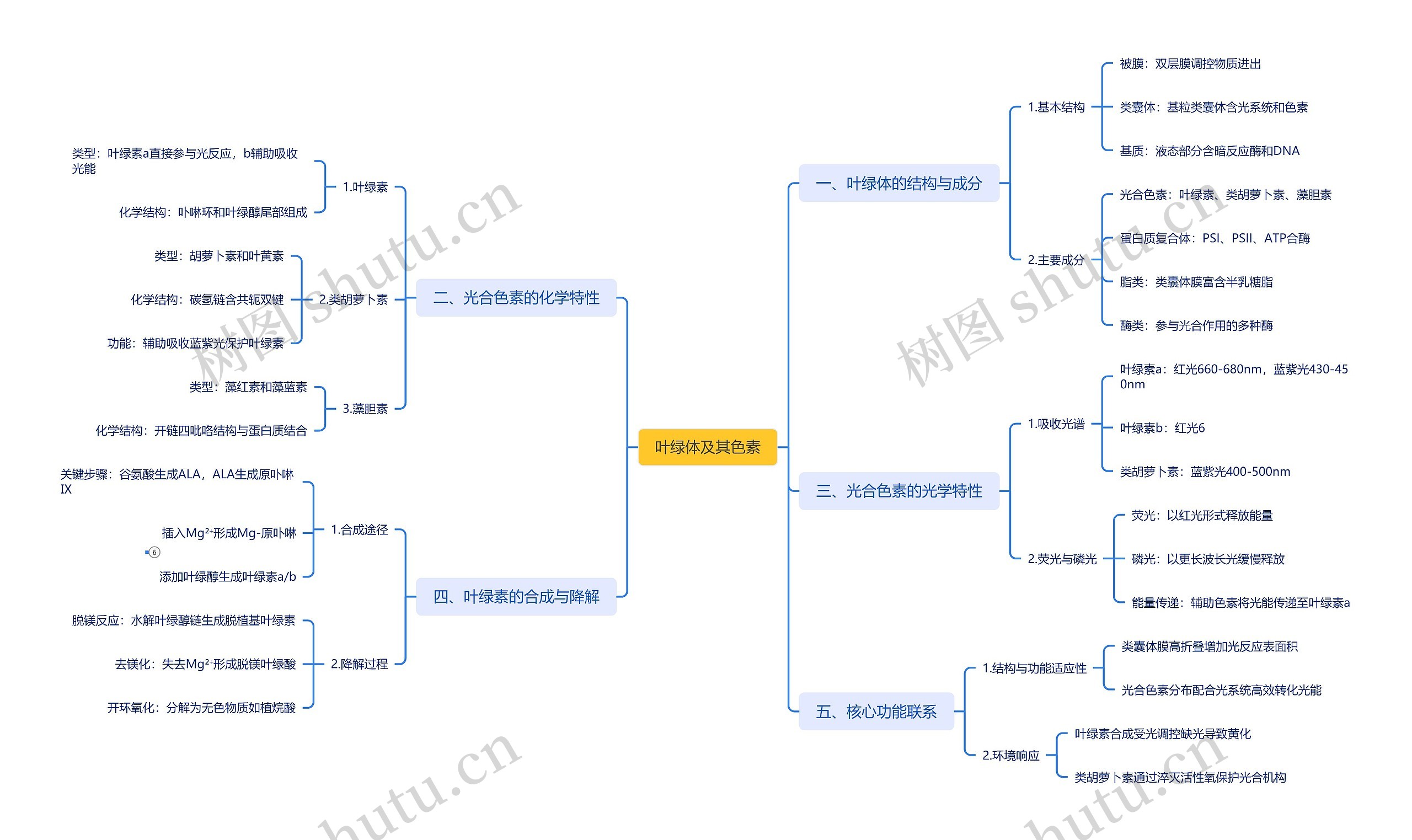 叶绿体及其色素思维导图高清图 叶绿体及其色素思维导图