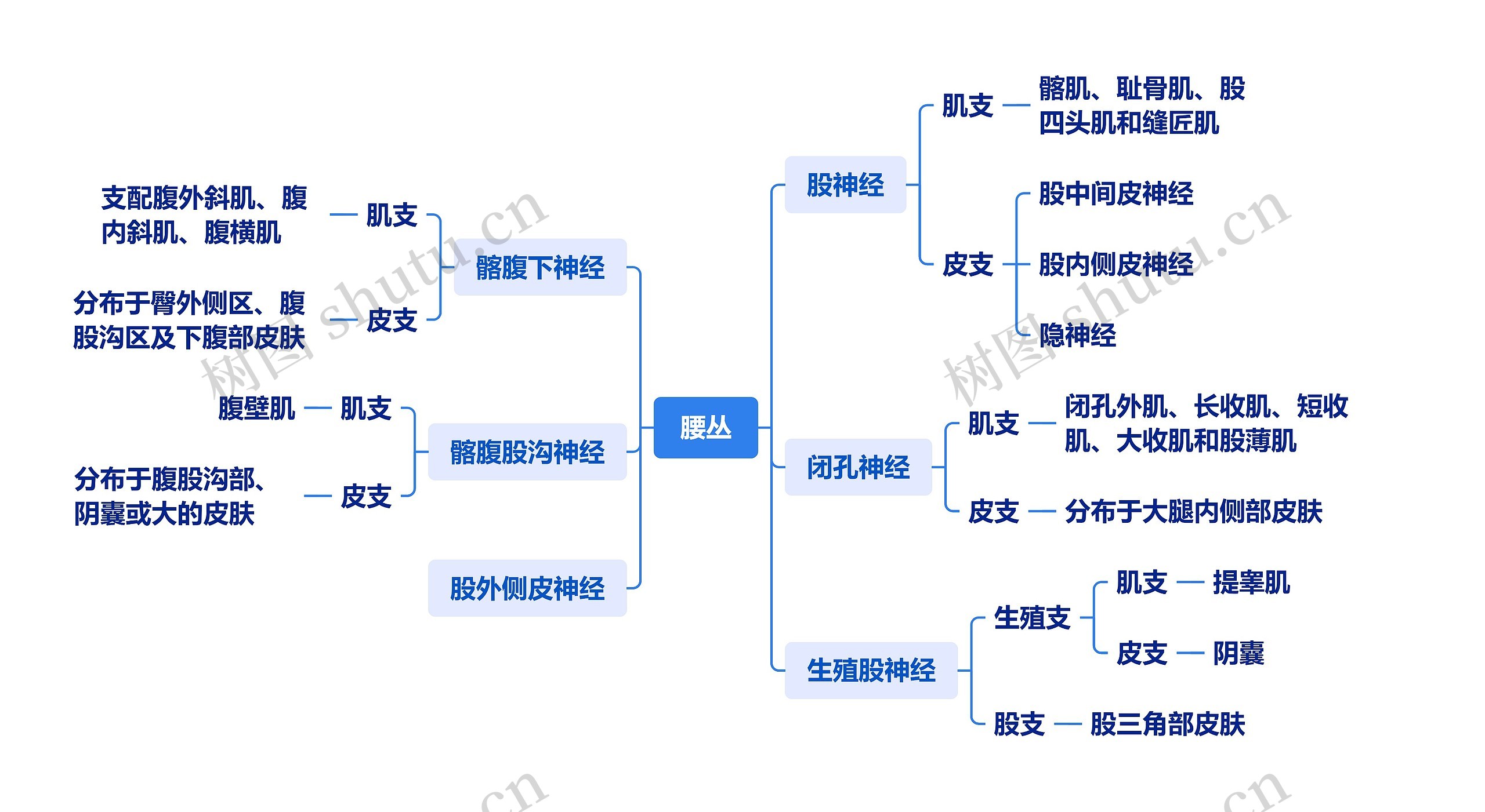 ﻿腰丛介绍