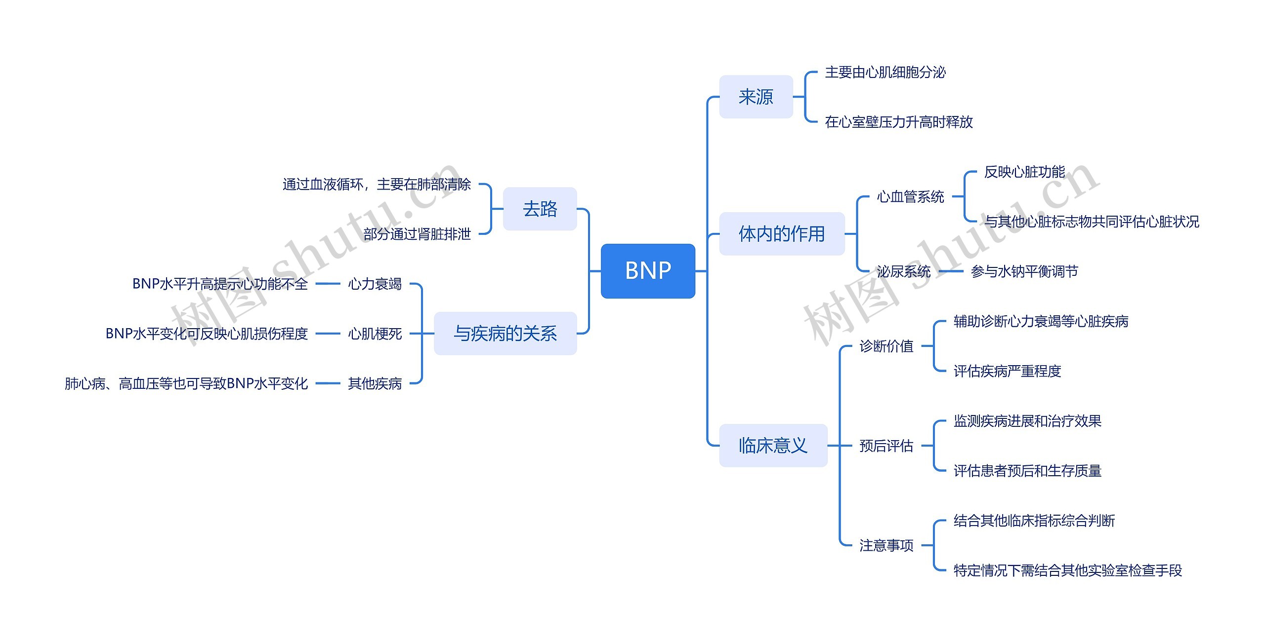 BNP介绍