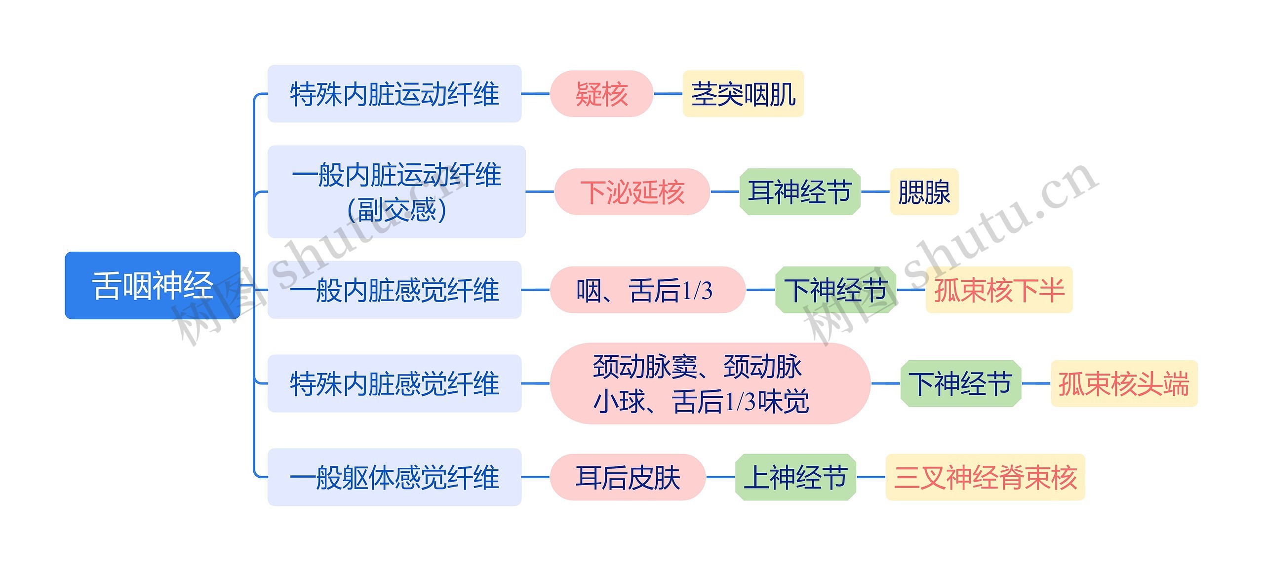 ﻿舌咽神经
