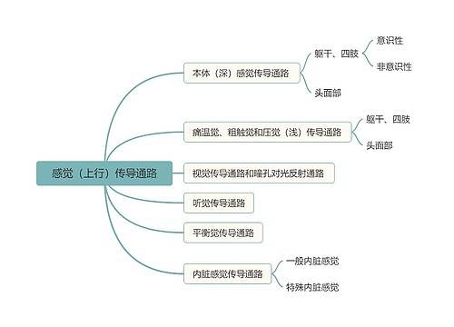 感觉（上行）传导通路