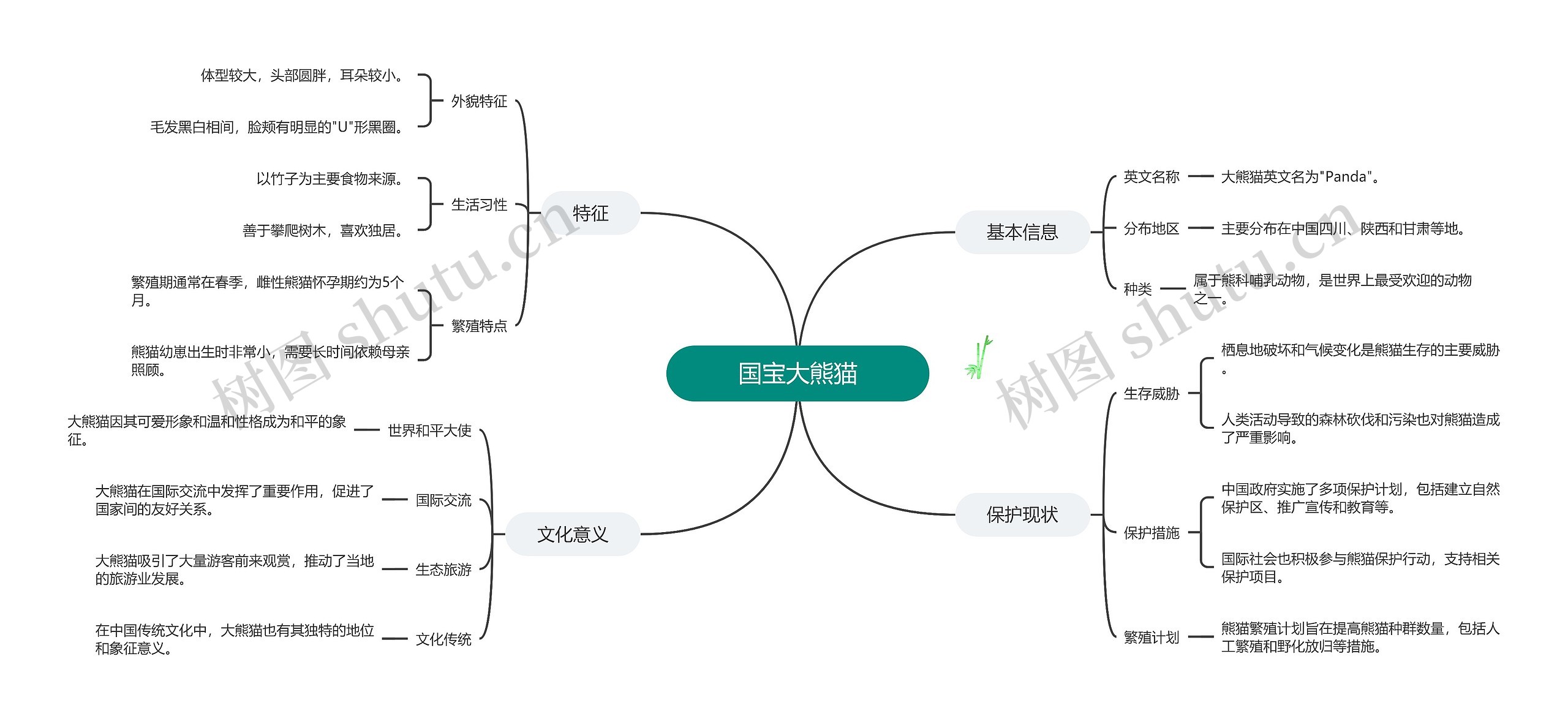 国宝大熊猫思维导图高清图 国宝大熊猫思维导图