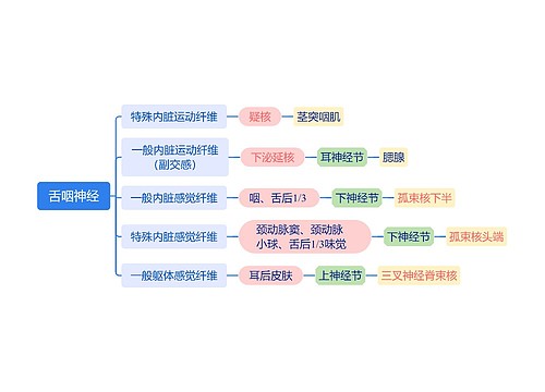 ﻿舌咽神经