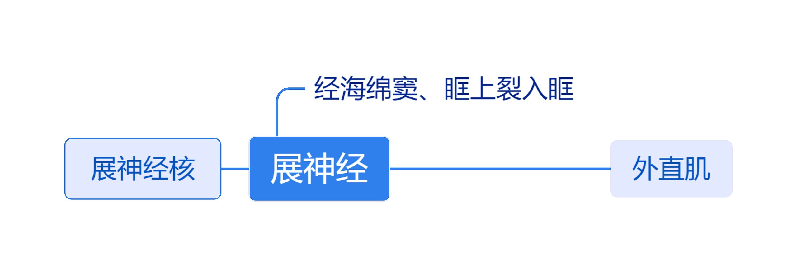 展神经核