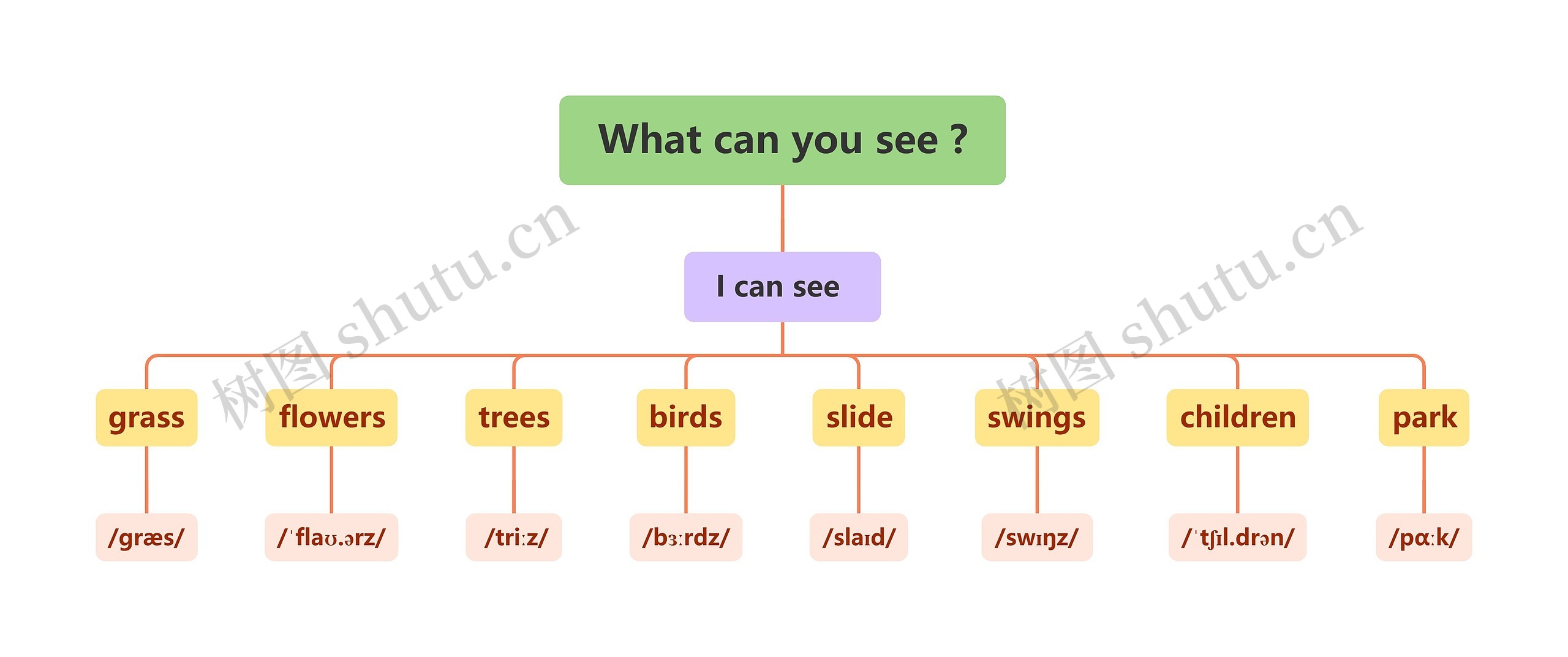 What can you see ?思维导图高清图 What can you see ?思维导图