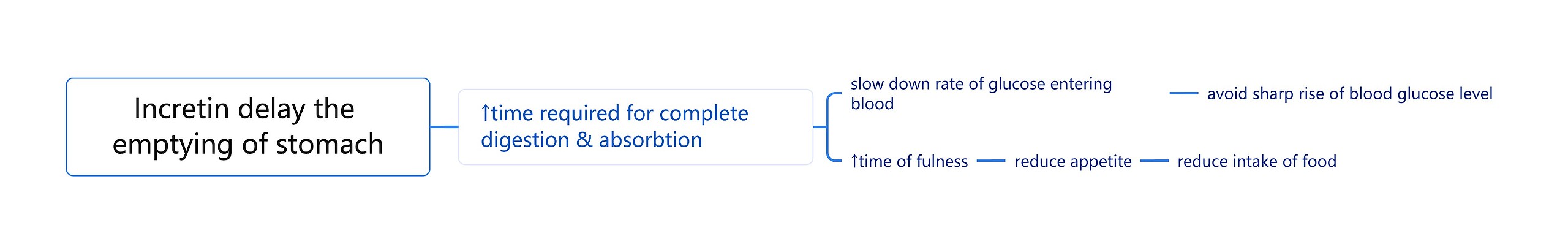Incretin delay the emptying of stomach