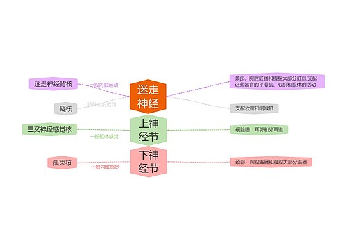 迷走神经