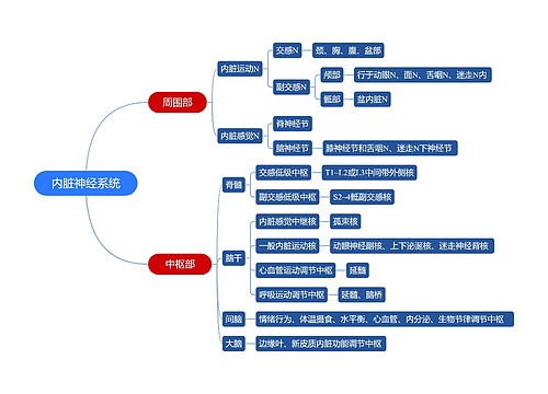 内脏神经系统