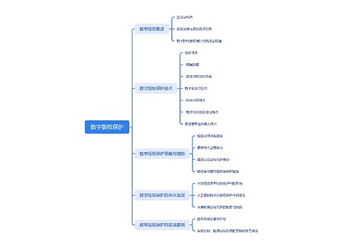 数字版权保护