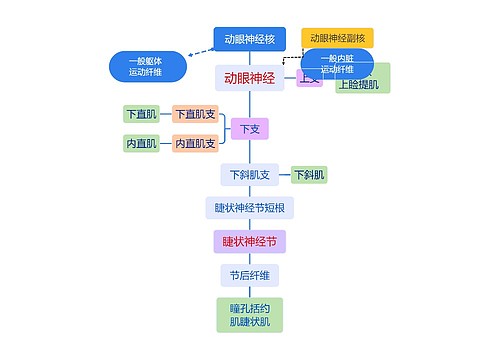 动眼神经核