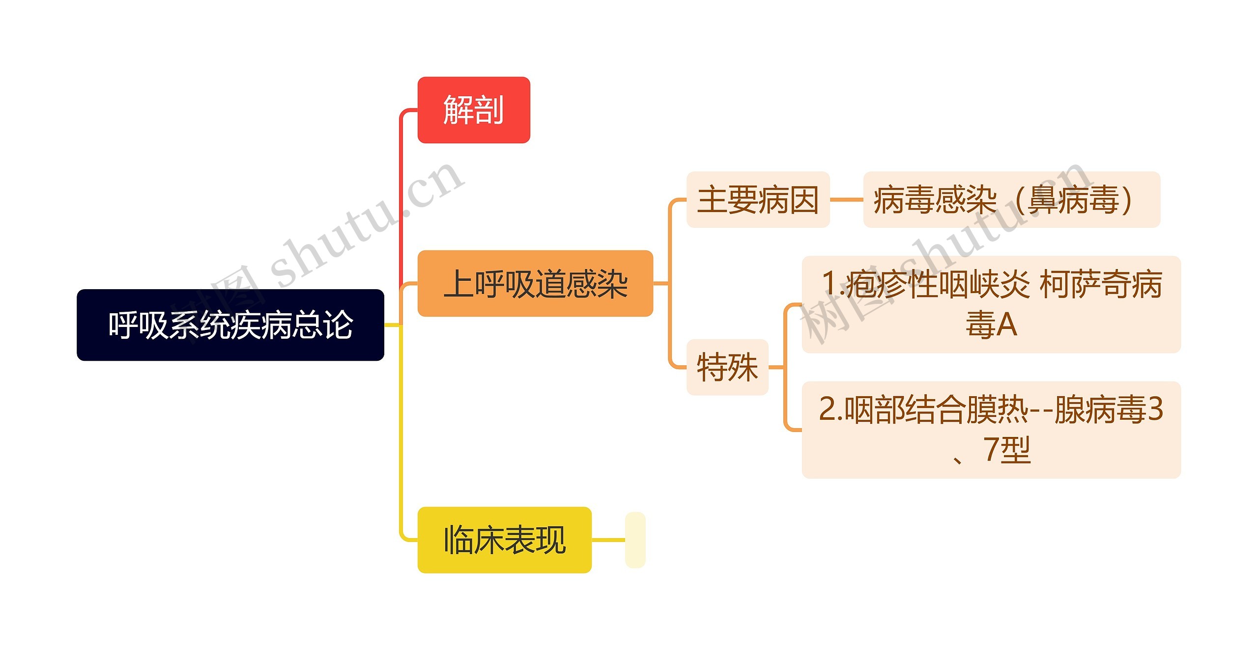 呼吸系统疾病总论