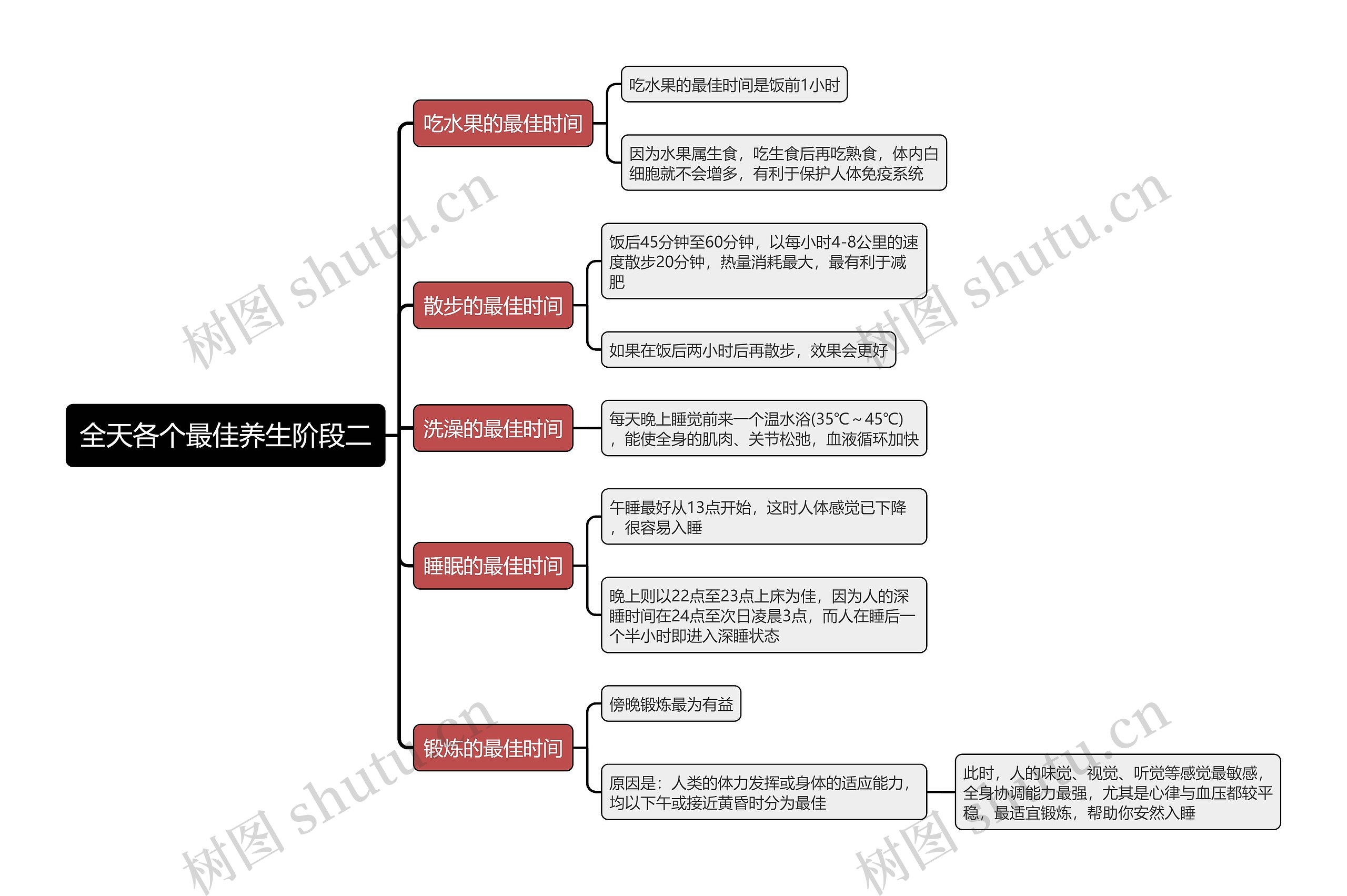 全天各个最佳养生阶段二思维导图