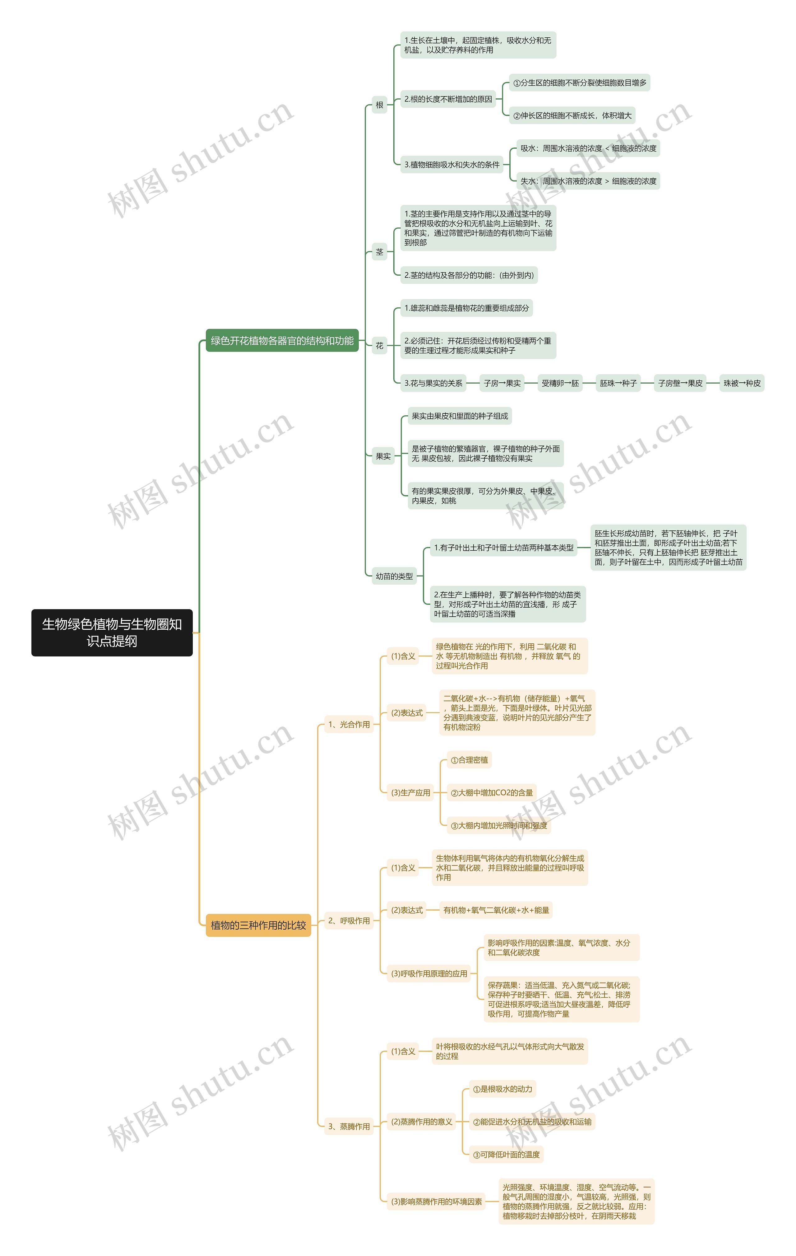 生物绿色植物与生物圈提纲思维导图