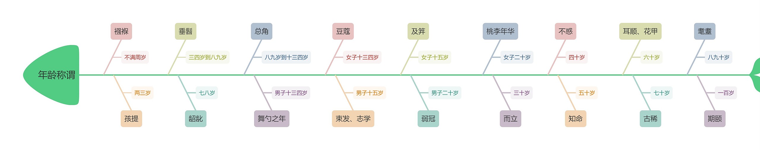 教资年龄称谓思维导图