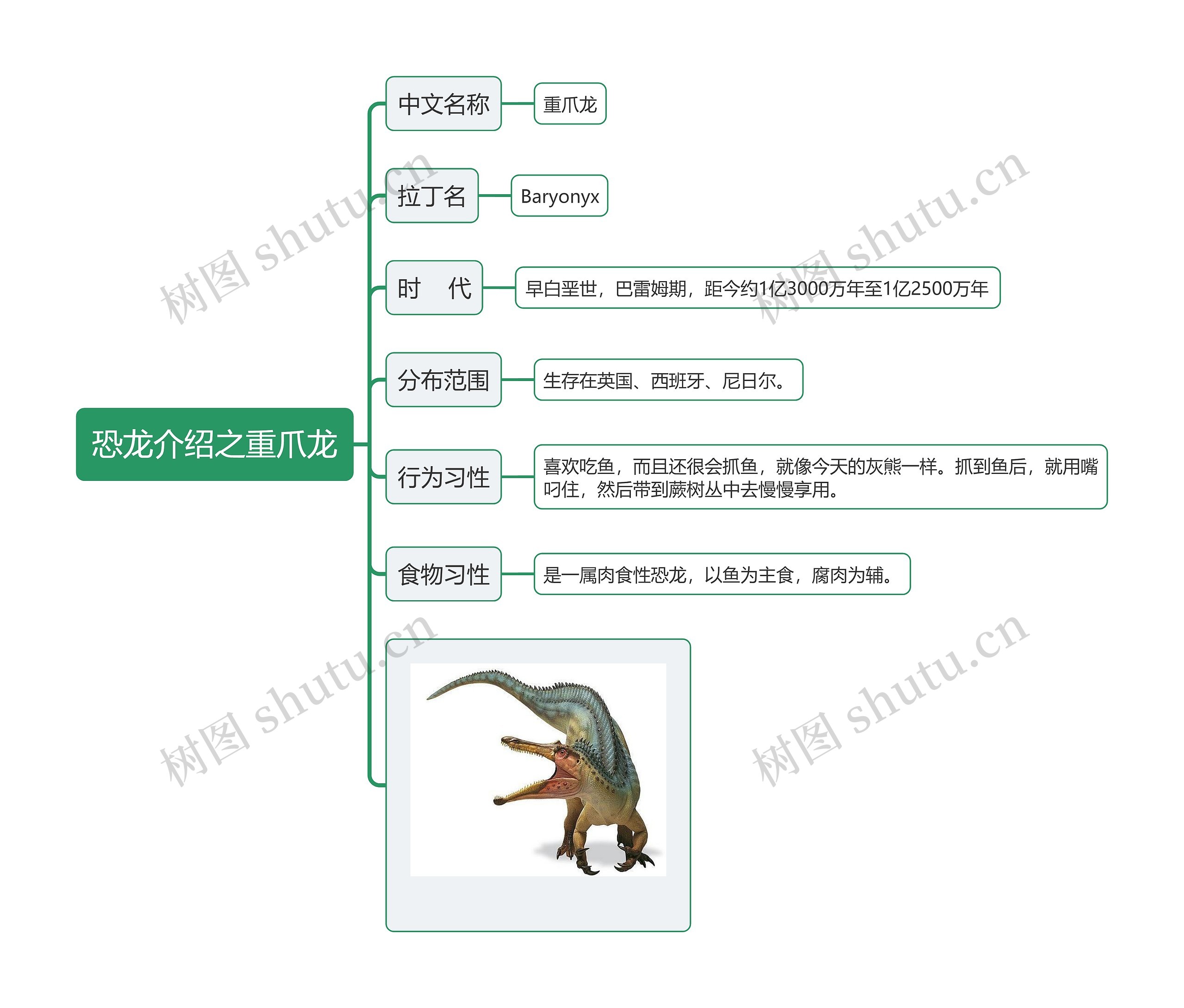 恐龙介绍之重爪龙思维导图