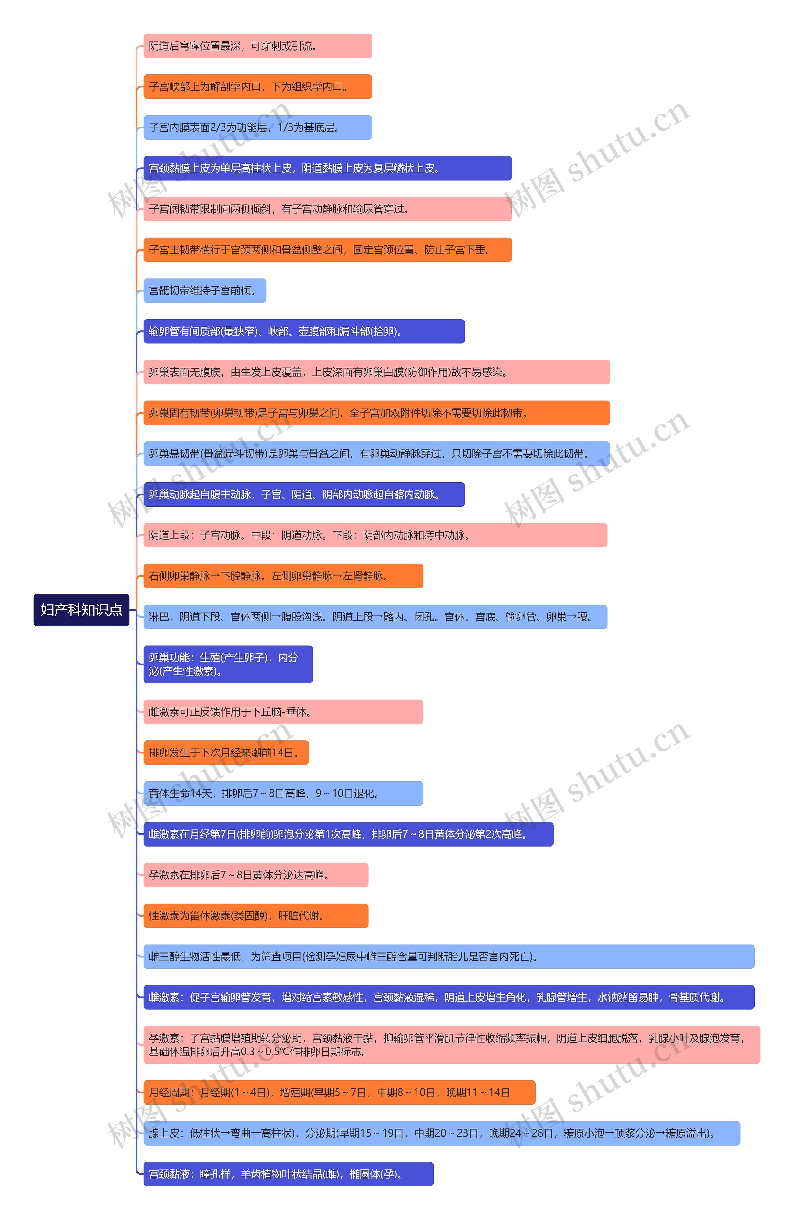 妇产科知识点思维导图