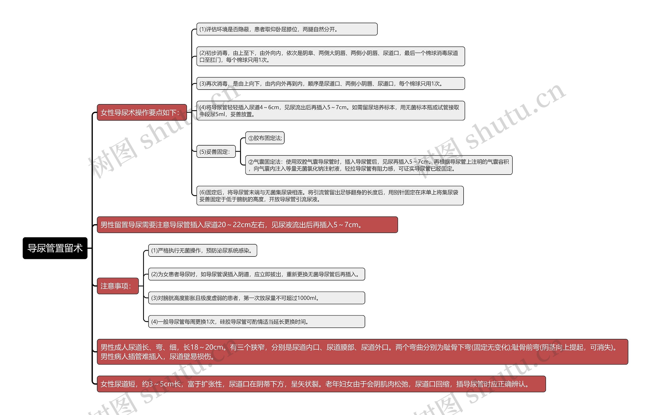 导尿管置留术知识点思维导图
