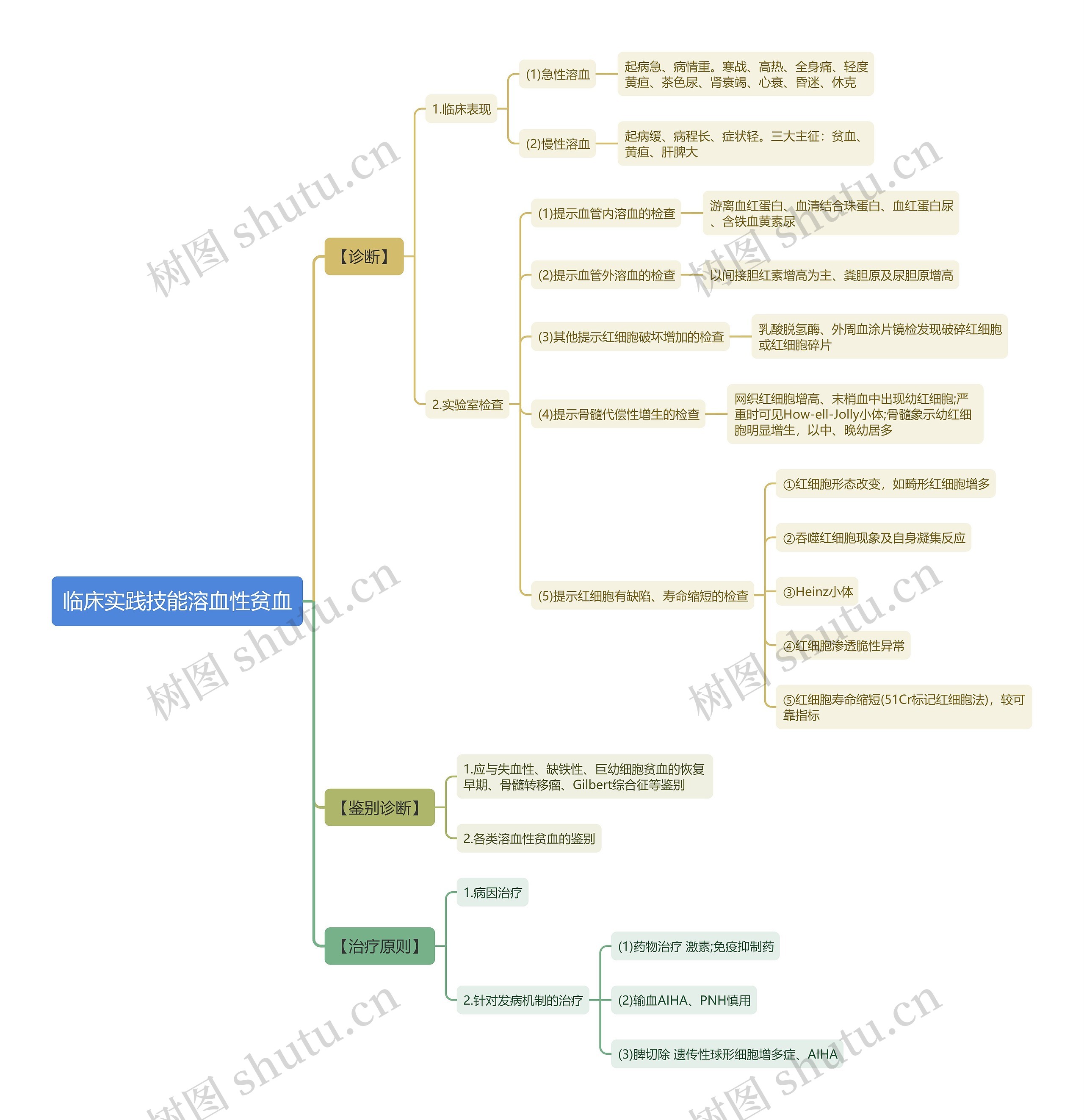 临床实践技能溶血性贫血思维导图