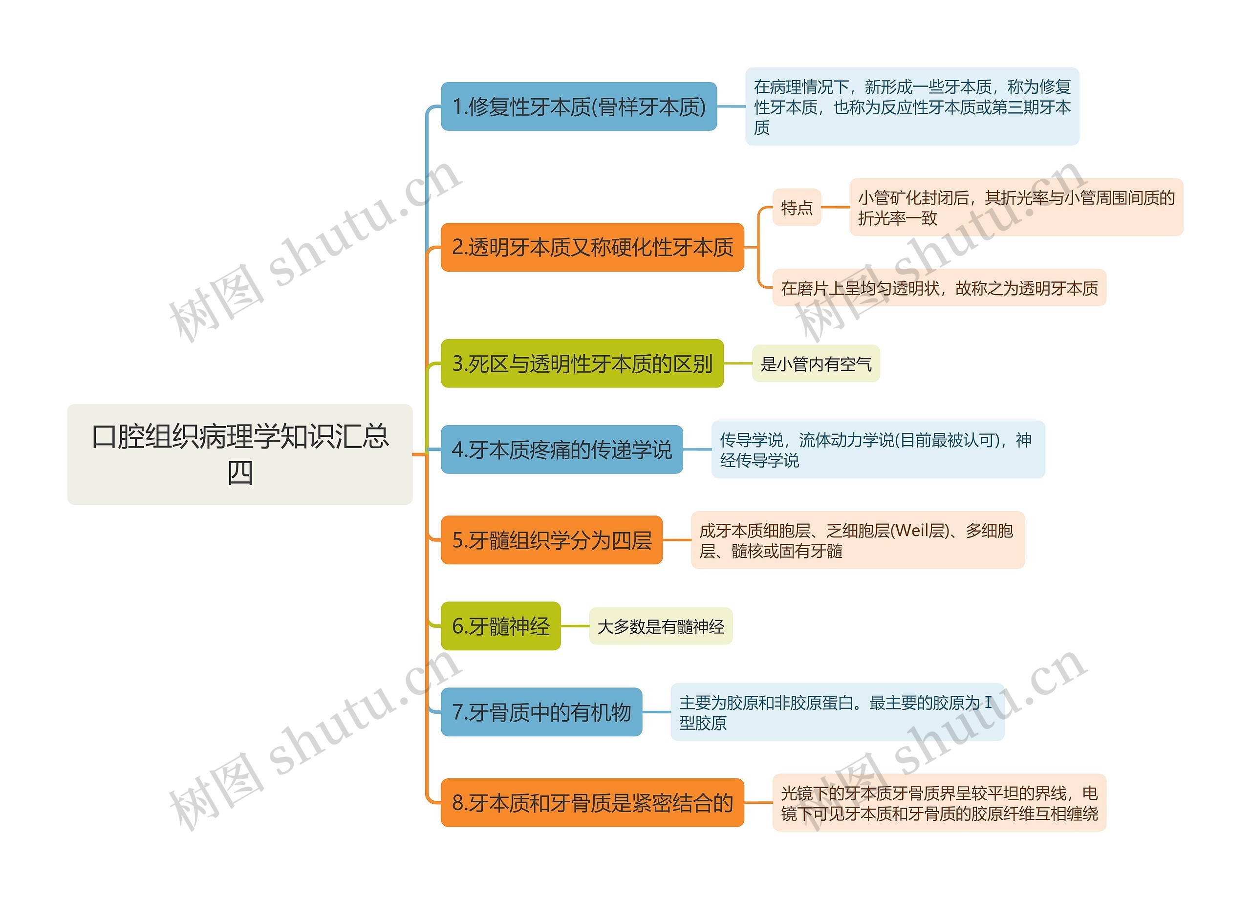 口腔组织病理学知识汇总四思维导图