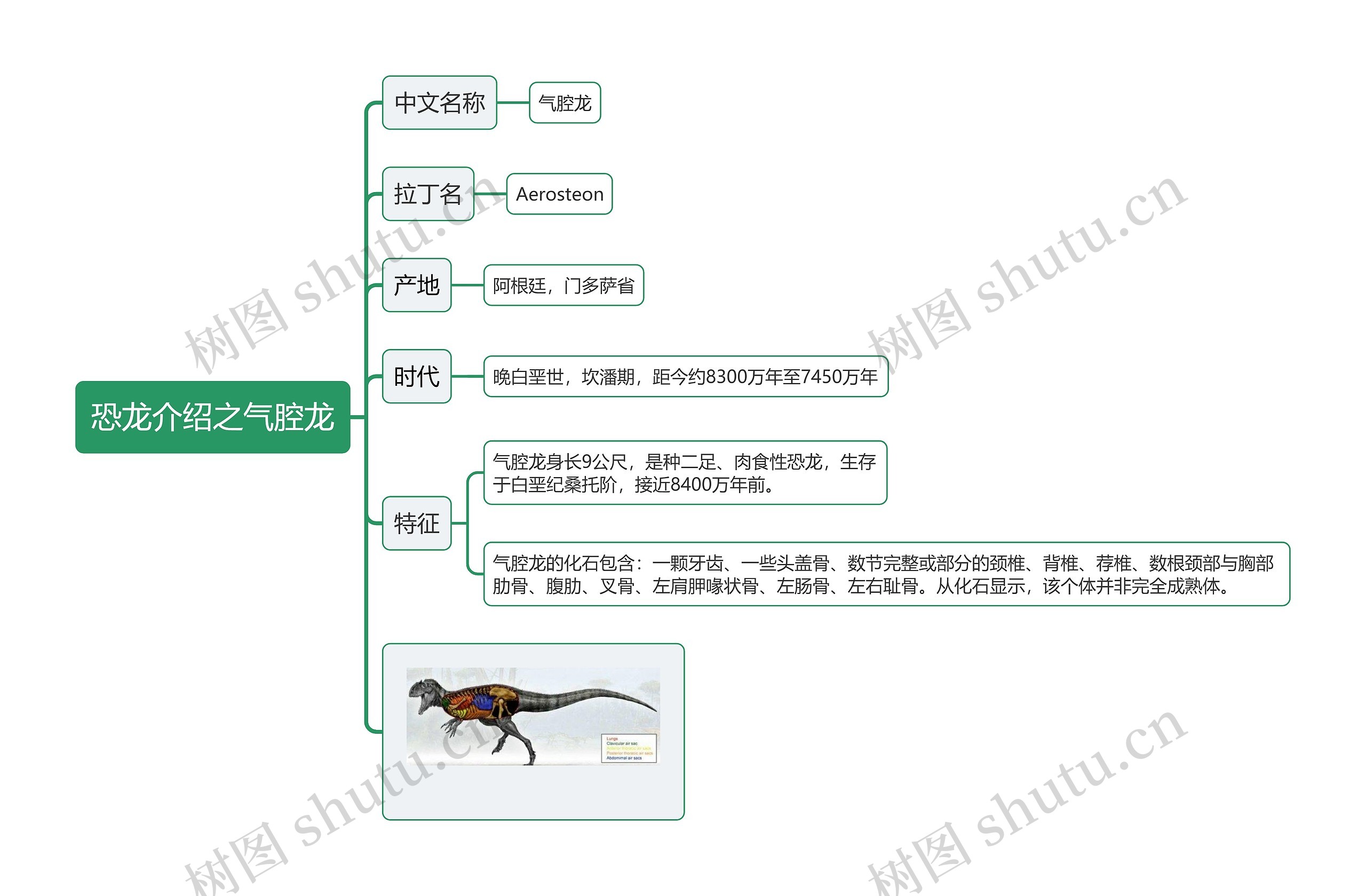 恐龙介绍之气腔龙思维导图