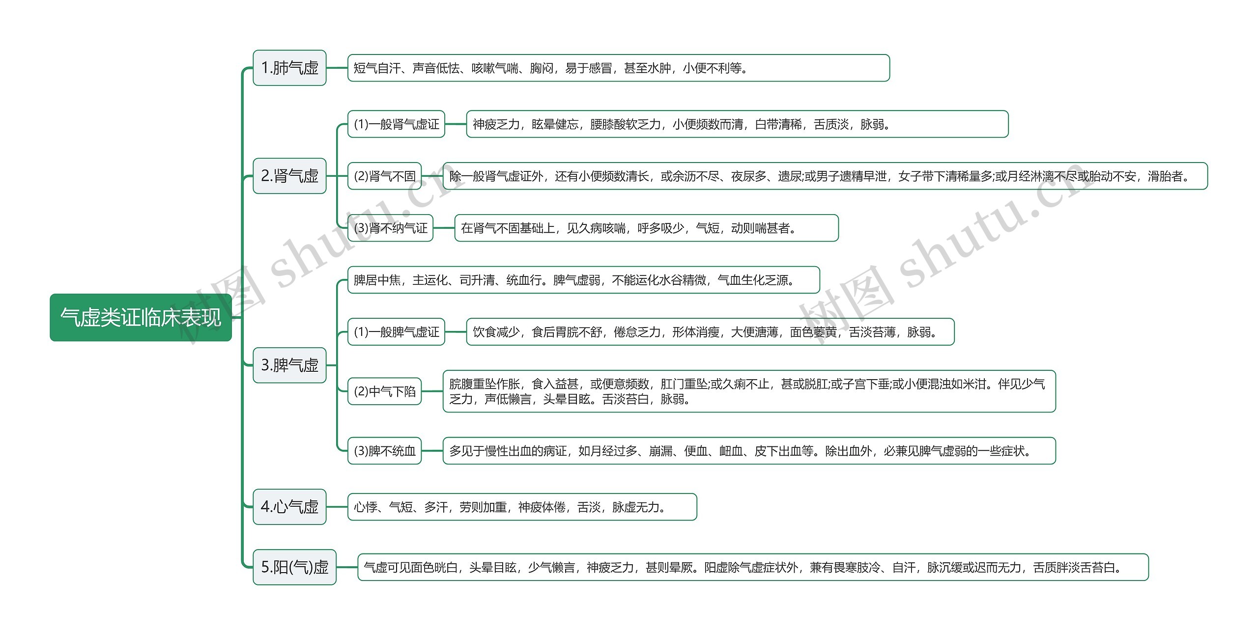 气虚类证临床表现思维导图