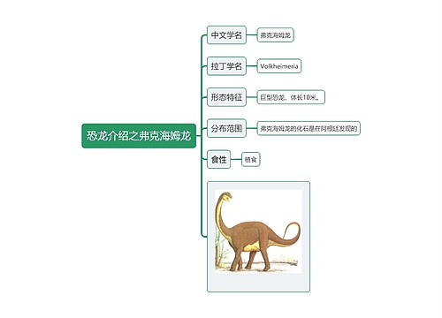 恐龙介绍之弗克海姆龙思维导图