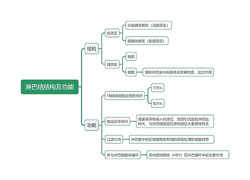 淋巴结结构及功能思维导图